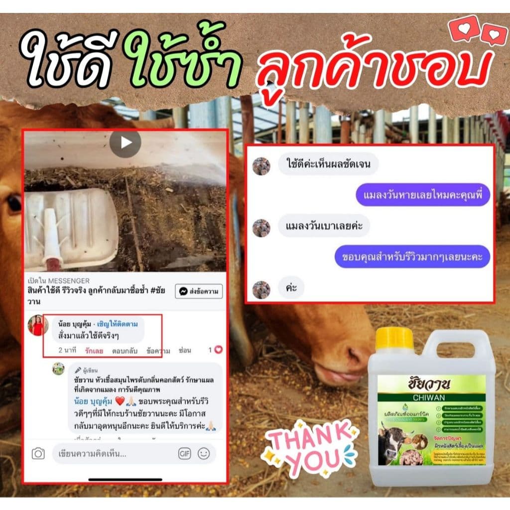 ชัยวาน ดูแลสัตว์ไล่ยุง ไล่แมลง บอกลาแมลงรบกวน เห็นผลตั้งแต่ครั้งแรกที่ใช้ ขนาด 1 ลิตร ⭐แถมฟรี⭐หัวฉีดฟ็อกกี้ 1 ชิ้น รูปที่ 4