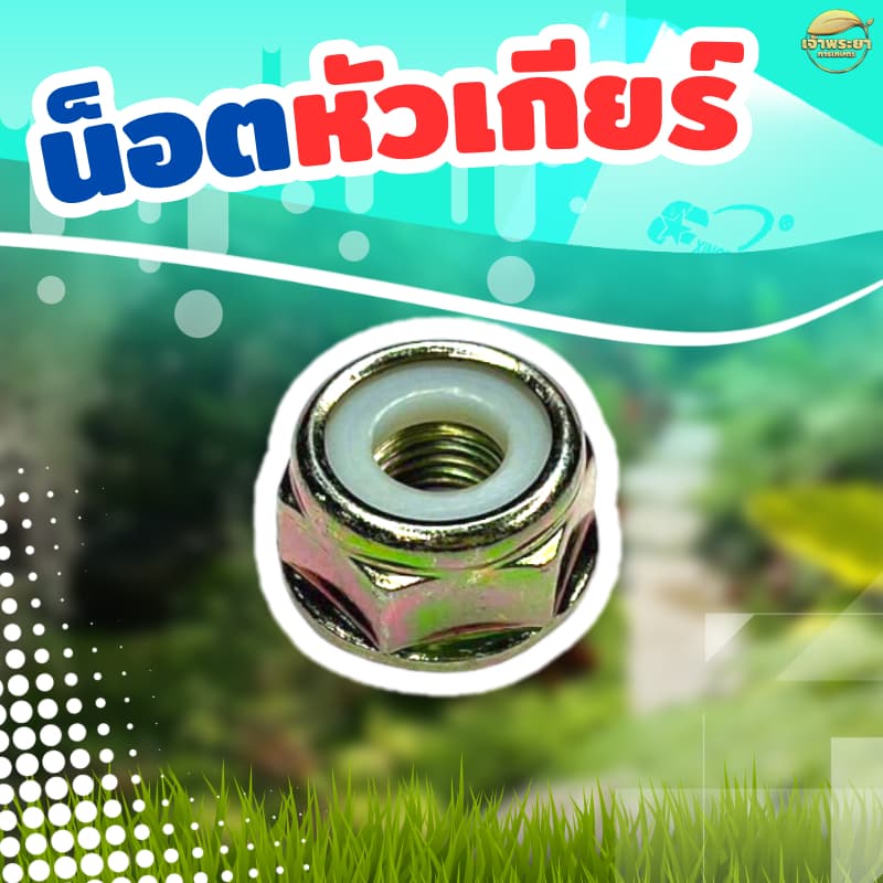 น๊อตหัวเกียร์เครื่องตัดหญ้า เกลียวซ้าย ขนาดมาตราฐาน ทนแรงกระแทกสูง รูปที่ 1