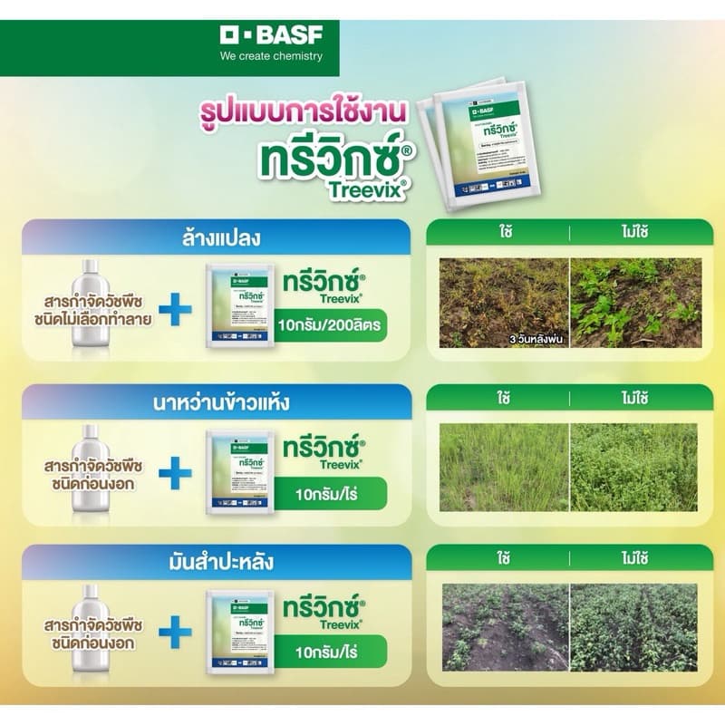 ทรีวิกซ์ ยกกล่อง สารคุมฆ่าวัชพืชคุณภาพสูง byBasf กำจัดวัชพืชใบกว้างยกกล่อง รูปที่ 3