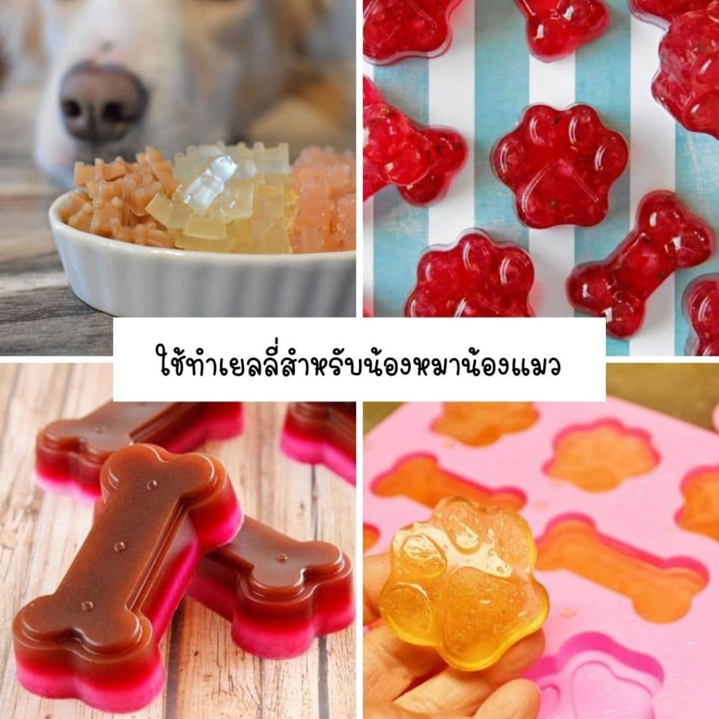 เจลาติน 100% Grass Fed Beef Gelatin Powder สำหรับทำเยลลี่สัตว์เลี้ยง รูปที่ 4