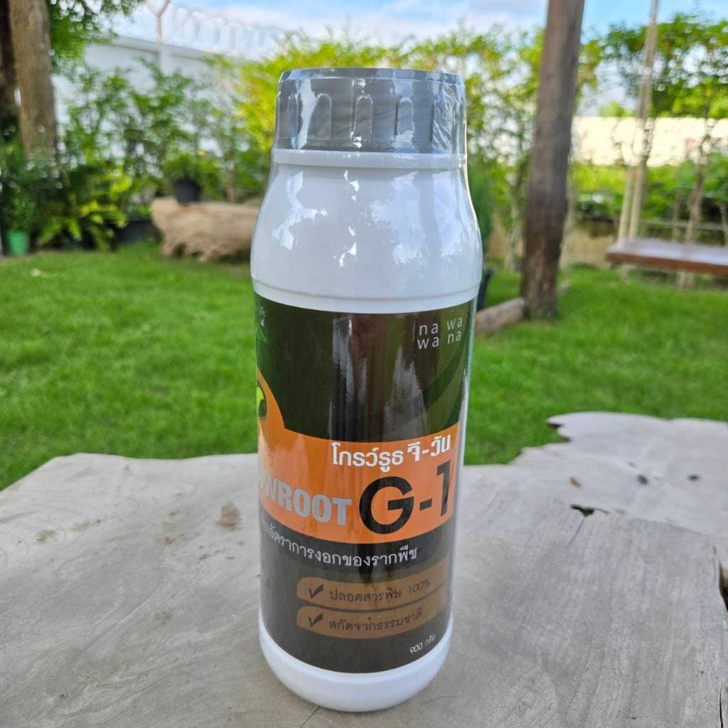 <โปรพิเศษ> ยาเร่งราก แบบผง Growroot-G1 เร่งใบ น้ำยาเร่งราก กระตุ้นการแตกใบอ่อน บำรุงราก ต้นสมบูรณ์ รูปที่ 1