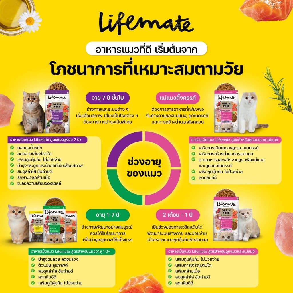 Lifemate อาหารแมว เกรดโฮลิสติก ควบคุมโซเดียม ถนอมไต ครบทุกสูตร พรีเมียม สำหรับแมว1ปีขึ้นไป รูปที่ 3