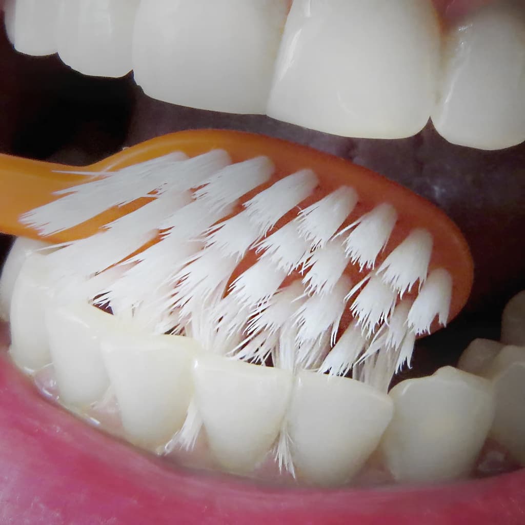 EDELWHITE UltraSoft Flosserbrush แปรงสีฟัน ขนนุ่มพิเศษ ถนอมเหงือก รูปที่ 2