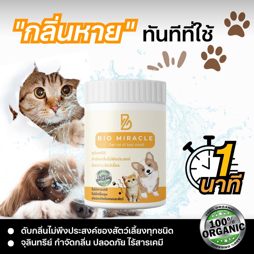 BIO Miracle ไบโอมิราเคิล จุลินทรีย์ ดับกลิ่นฉี่สัตว์ ฉี่หมาแมว กลิ่นเหม็น เป็นสารออร์แกนิค ไม่เป็นอันตรายต่อสัตว์ รูปที่ 2