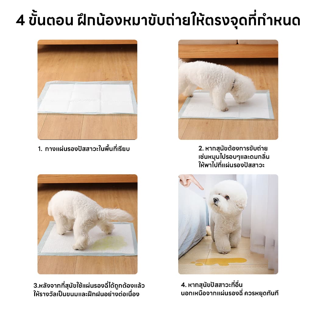 yoyopet : แพ็คสุดคุ้ม 3ถุง แผ่นรองฉี่สัตว์เลี้ยง ที่ซับปัสสาวะ สุนัข แมว ที่รองฝึกขับถ่าย ซึมซับเร็ว รูปที่ 5