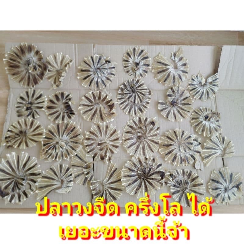 สด ปลาทูแดง 1kg ปลาทูหวานแดง ปลาหวานแดง ปลาทูหวานขาว ปลาหวานงา ปลาเส้นงา ริวกิว ปลาข้างเหลืองงา ปลาหมึก ปลาวง ปลาไล้กอ รูปที่ 6