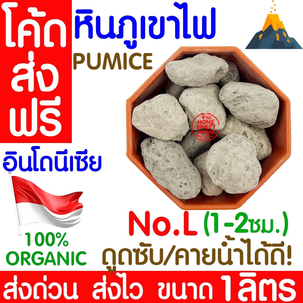 *โค้ด * หินภูเขาไฟ 500กรัม/1L 00/01/02/L/LL เพิ่มความโปร่งให้ดิน หินพัมมิส Pumice วัสดุปลูกผสมดิน กระถาง outlet รูปที่ 5