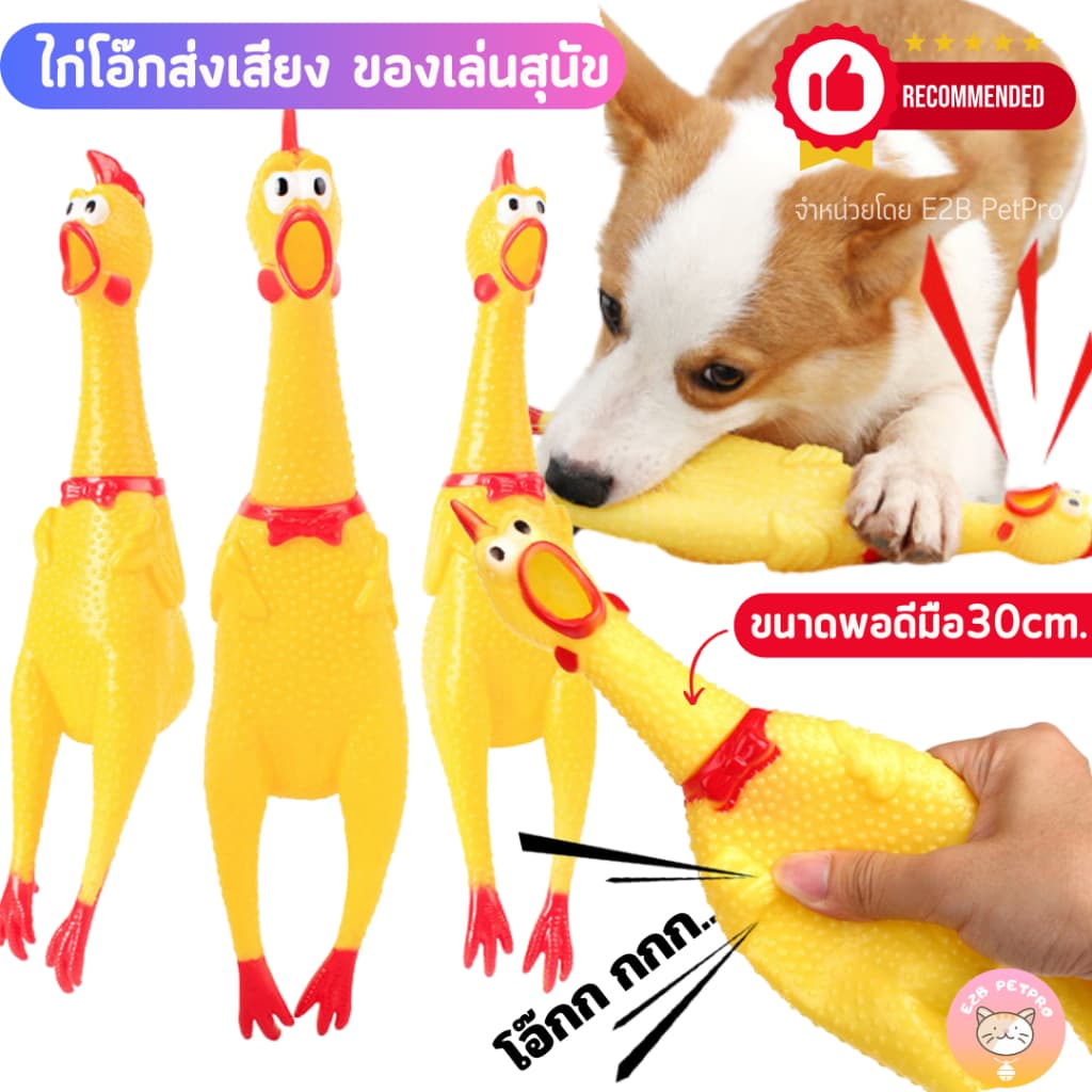 ไก่โอ๊ก ของเล่นสุนัข ส่งเสียงร้องดังกัดเล่นสนุก B047 รูปที่ 1