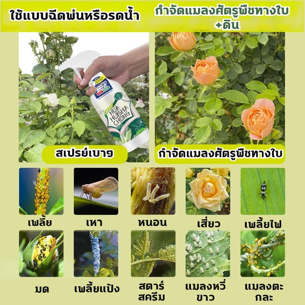 ยากำจัดแมลงพืช 500ml ยาฆ่าแมลง ยากำจัดหนอน สารกำจัดแมลง ยาฆ่าแมลงกินใบ ยากำจัดเพลี้ย ยาฆ่าเพลี้ย ​หนอน มด เกษตร สว รูปที่ 3