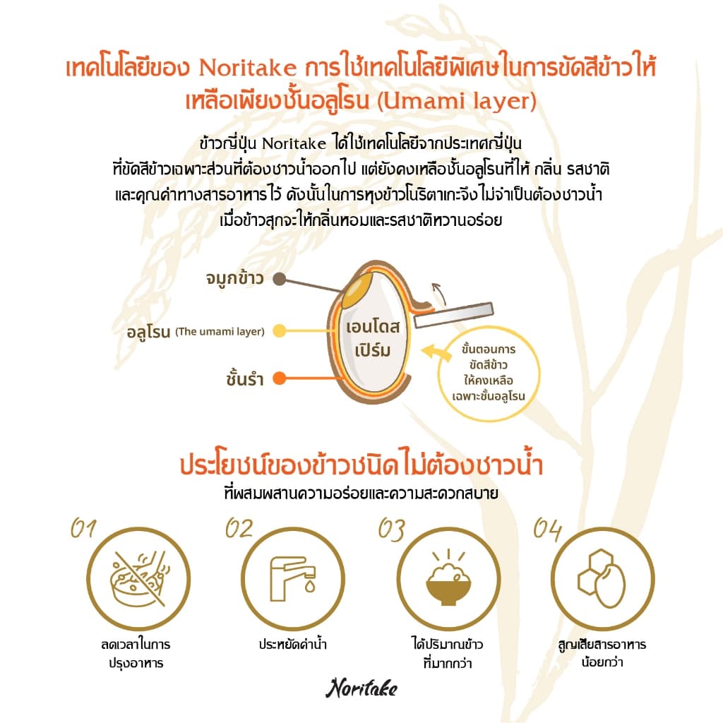 ข้าวญี่ปุ่นโคชิฮิคาริ 5 kg ตรา Noritake รูปที่ 8