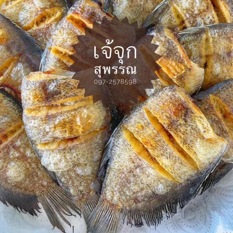 ปลาสลิดไซใหญ่ 6,7,8,9-10 ตัวโล มีทุกไซย์ เล็ก กลาง ใหญ่ มีทุกเบอร์จ้า รูปที่ 4
