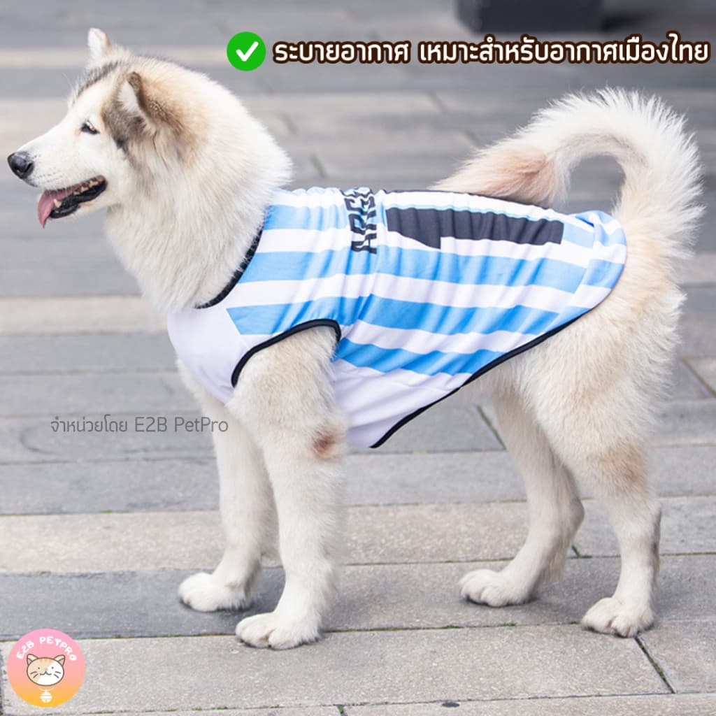 ใหม่ เสื้อสุนัข เสื้อสุนัขใหญ่ เสื้อบอลสีสันสดใสXL-6XLสวมใส่สบายระบายอากาศ H006 รูปที่ 3