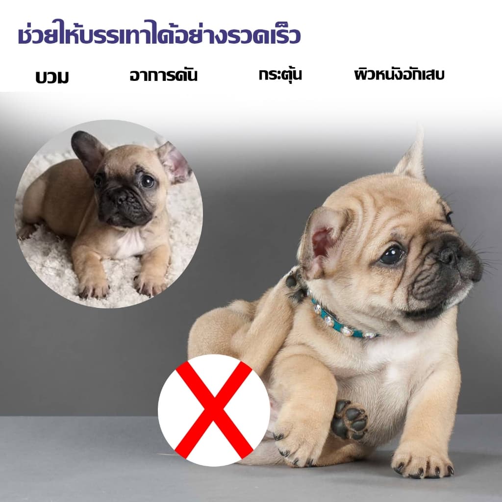 สเปรย์กำจัดเห็บ น้ำยากำจัดเห็บหมัด สเปรย์กำจัดเห็บหมัด ยาฆ่าเห็บหมัด สูตรพืช กำจัดเห็บหมัดสุนัข บรรจุ 120ml รูปที่ 6