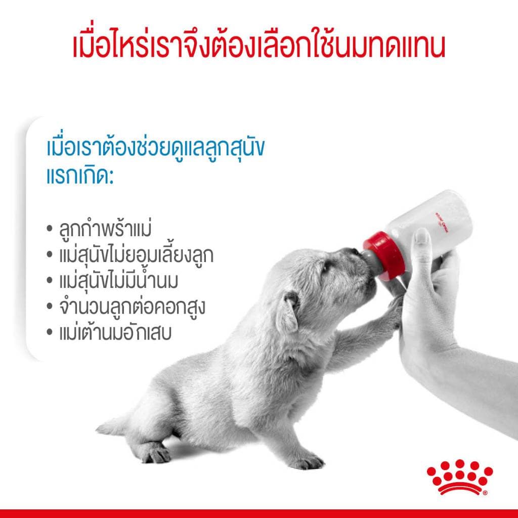* นมหมา*หมดอายุ 03/27ปีหน้า* Royal canin babydog milk 2kg โรยัล คานิน นมลูกสุนัข baby dog 2 kg. ลูก รูปที่ 5
