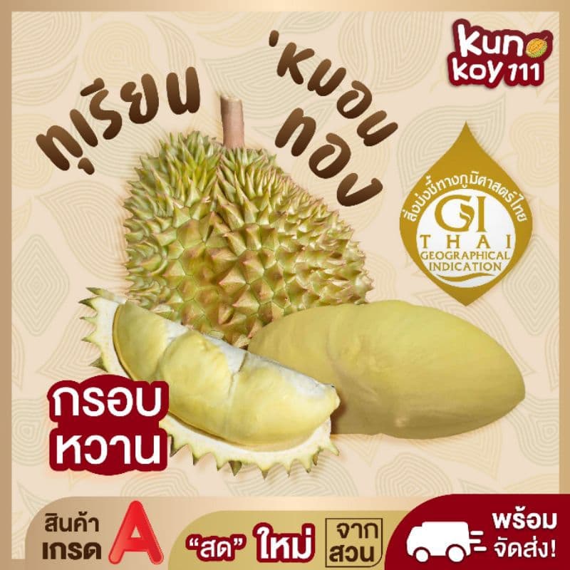 🌟(พร้อมส่ง)💥ทุเรียนหมอนทอง💥(หมอนจิ๋ว) 👉 เน้นเนื้อไม่เน้นทรง💥 ขายเป็นลูก🍈 ❌📣 💥 รับประกันเนื้อทุกลูก✓✓