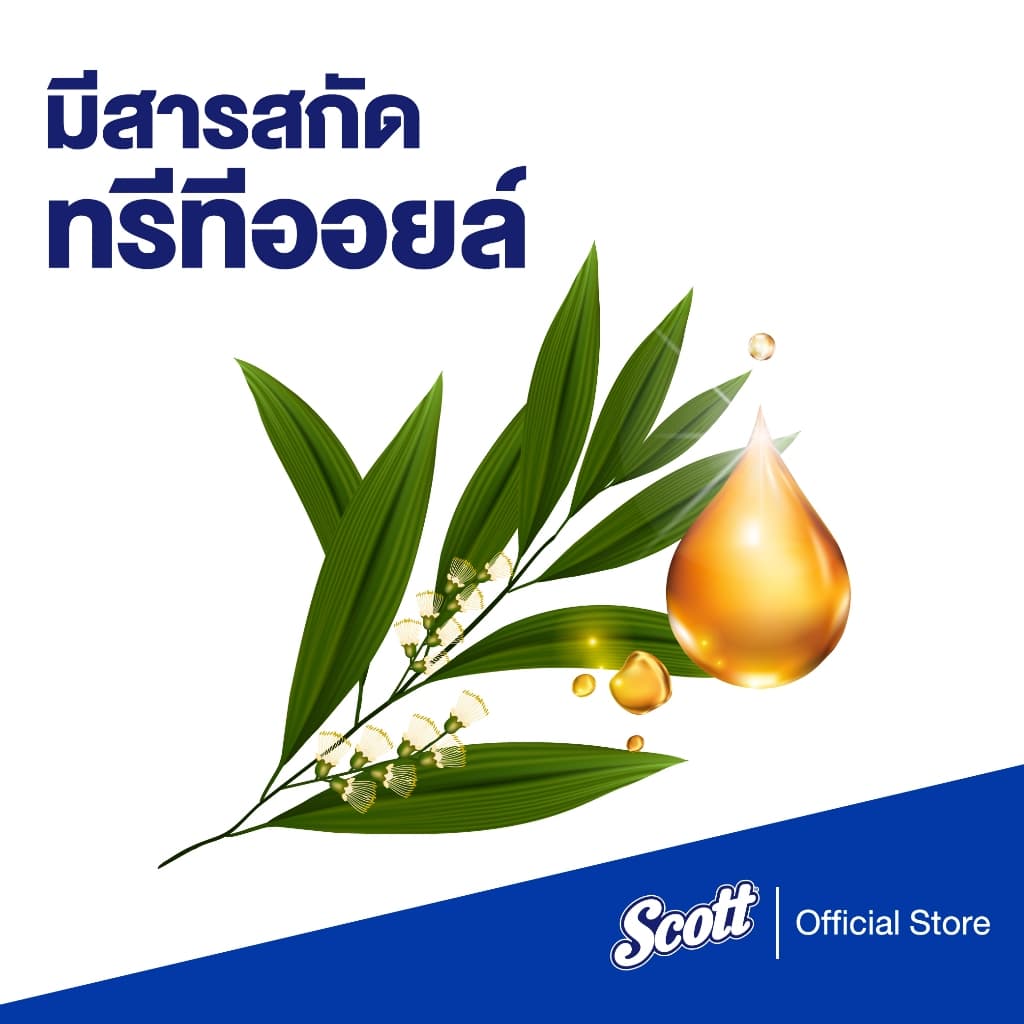 กระดาษเช็ดทำความสะอาดสก๊อตต์®รุ่นลดแบคทีเรีย8 แผ่น 3 แพ็ค x4 Scott Towel Interfold Bacteria Reduction 84Sheets 3 pack x4 รูปที่ 6