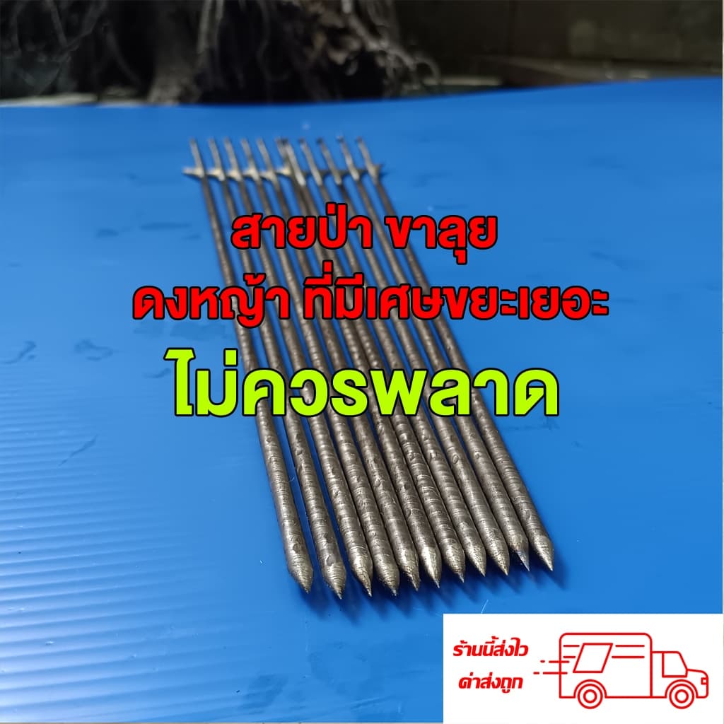 ลูกดอกยิงปลาเงี่ยงเดียว ขนาด 4 มิล ยาว 25-40 เซน จำนวน 1 ดอก รูปที่ 3