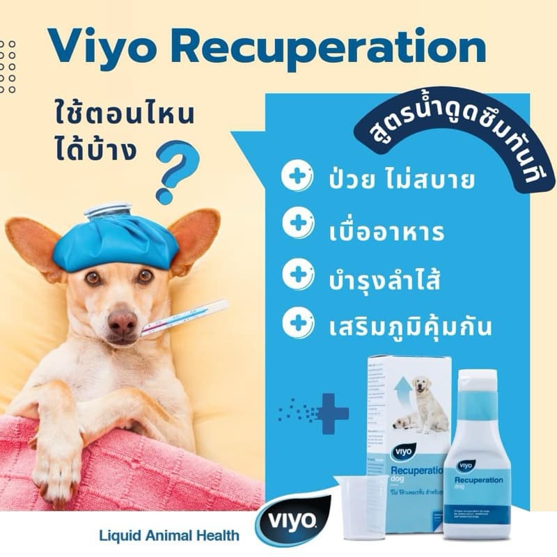 Viyo Recuperation 150 ml. อาหารเสริมสูตรน้ำ ความน่าทานสูง ไม่อยากอาหาร หรืออยากอาหารลดลง รูปที่ 2
