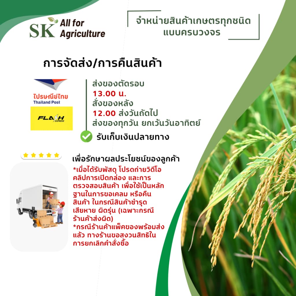 เมทาแลกซิล 35 - เมทาแลกซิล 35% DS ขนาด 1 กิโลกรัม สารกําจัดเชื้อาประเภทดูดซึม รูปที่ 2