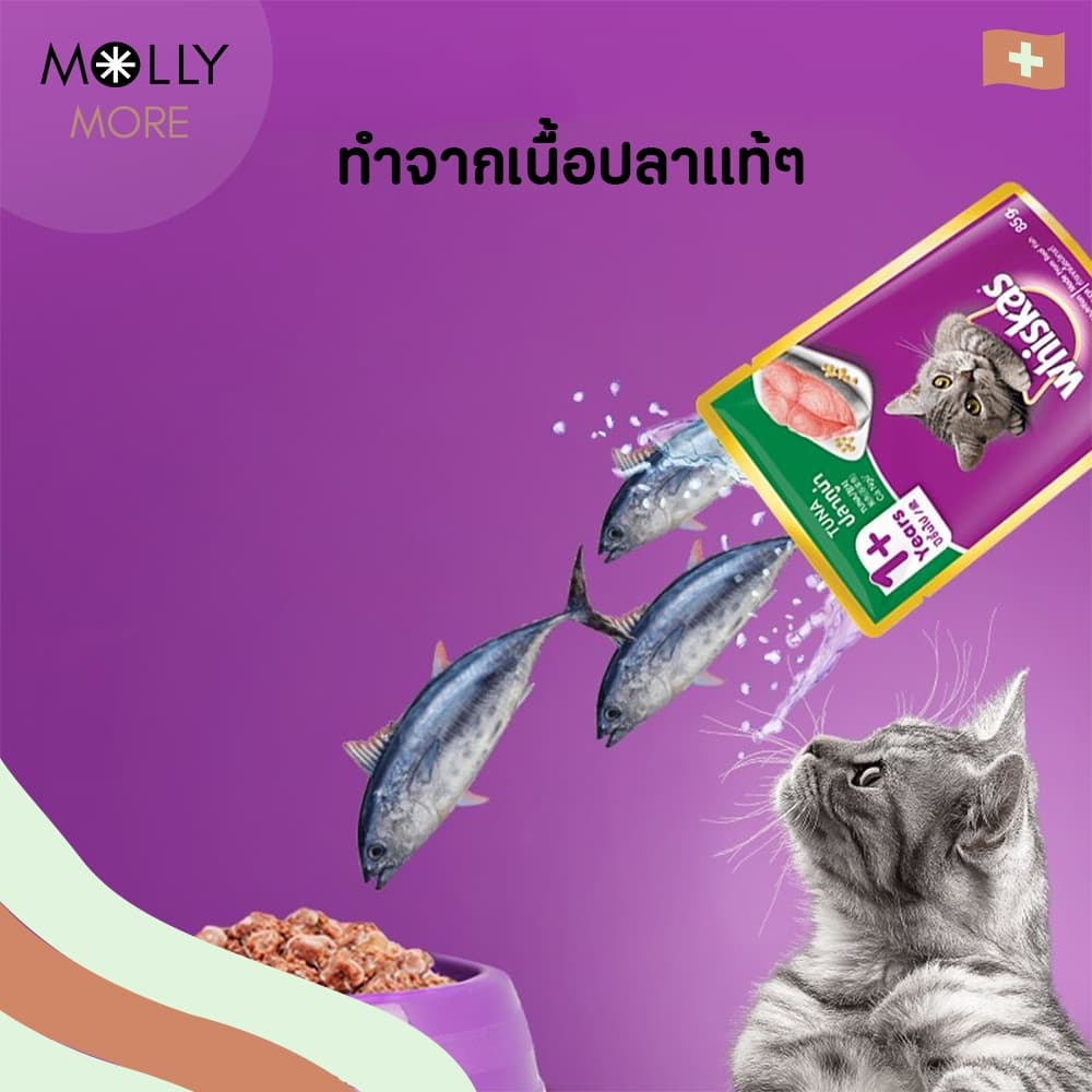 MOLLY WHISKAS อาหารแมว ชนิดเปียก แบบซอง อาหารเปียกแมว วิสกัส เพาช์ รูปที่ 5