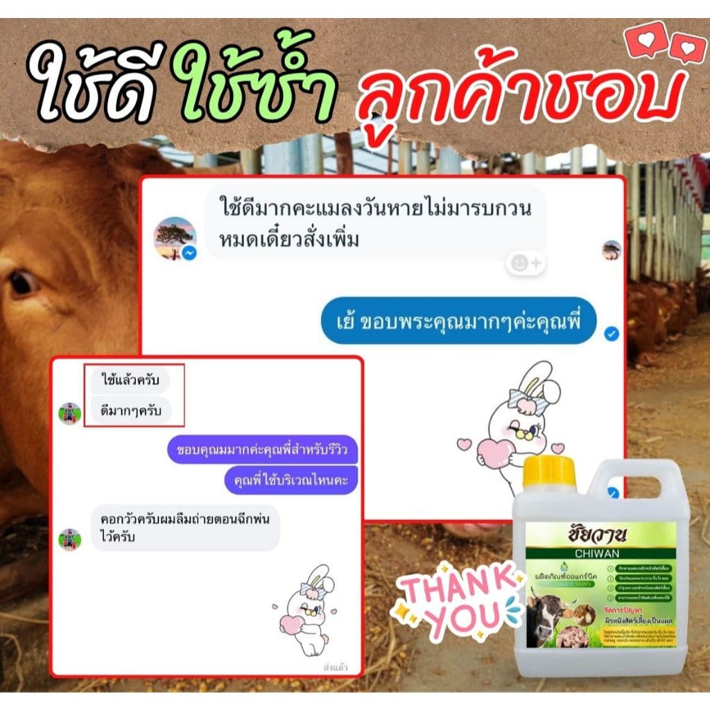 ชัยวาน ดูแลสัตว์ไล่ยุง ไล่แมลง บอกลาแมลงรบกวน เห็นผลตั้งแต่ครั้งแรกที่ใช้ ขนาด 1 ลิตร ⭐แถมฟรี⭐หัวฉีดฟ็อกกี้ 1 ชิ้น รูปที่ 3