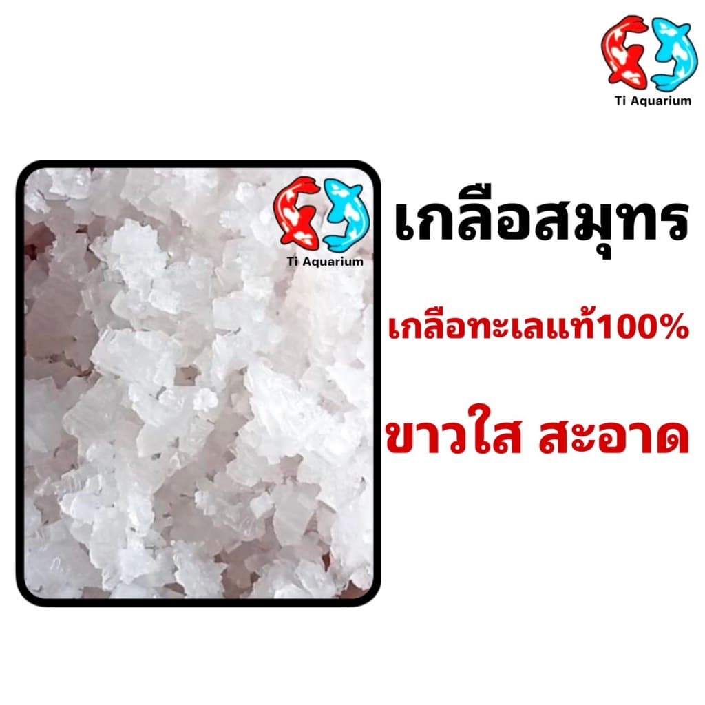 เกลือสมุทร 1kgเกลือเลี้ยงปลา เกลือทะเล เกลือเม็ด เกลือขัดผิว เกลือสปา แช่เท้า ดองผัก รูปที่ 4