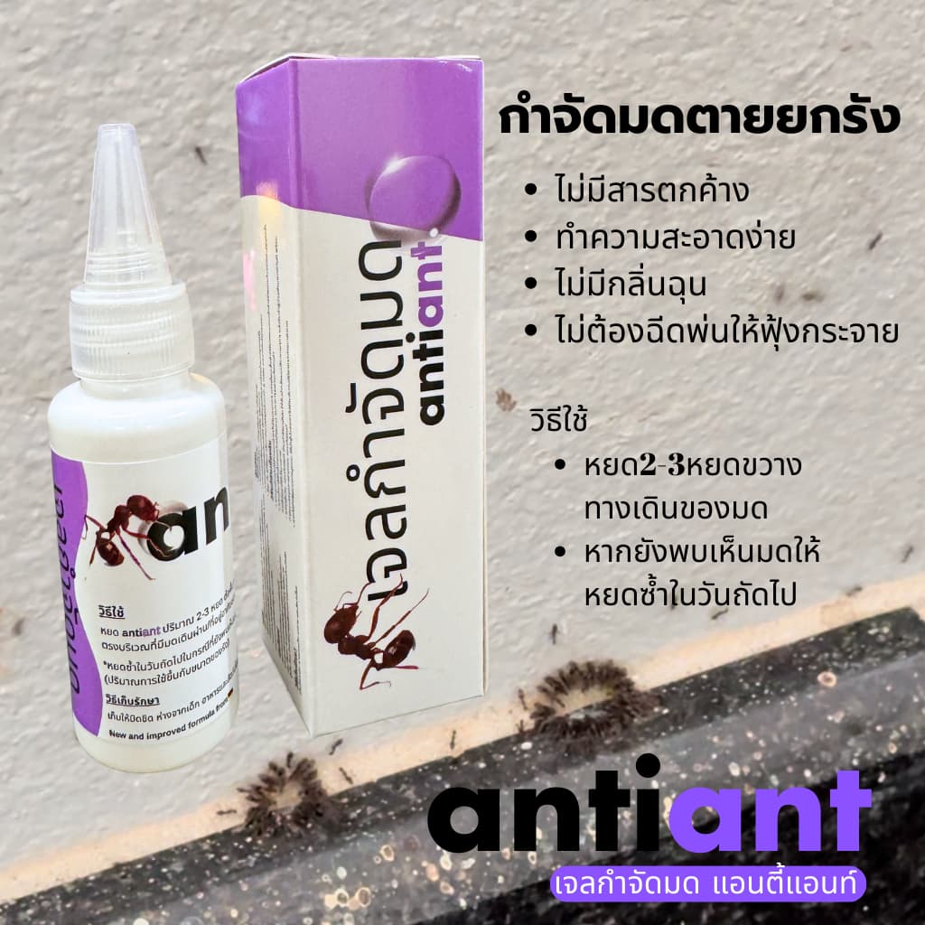 เจลกำจัดมด antiant ขนาด 50 กรัม รูปที่ 6