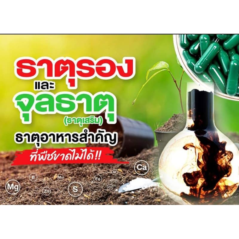 ใบเขียวยอดขายอันดับ1สารอินทรีย์สกัดชนิดเข้มข้นสูตรพิเศษฟื้นต้นสร้างดอกสารอาหารทางด่วน :เร่งพืชตราใบเขียว 1ลิตรยอ รูปที่ 7