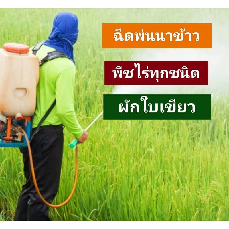 ใบเขียวยอดขายอันดับ1สารอินทรีย์สกัดชนิดเข้มข้นสูตรพิเศษฟื้นต้นสร้างดอกสารอาหารทางด่วน :เร่งพืชตราใบเขียว 1ลิตรยอ รูปที่ 3