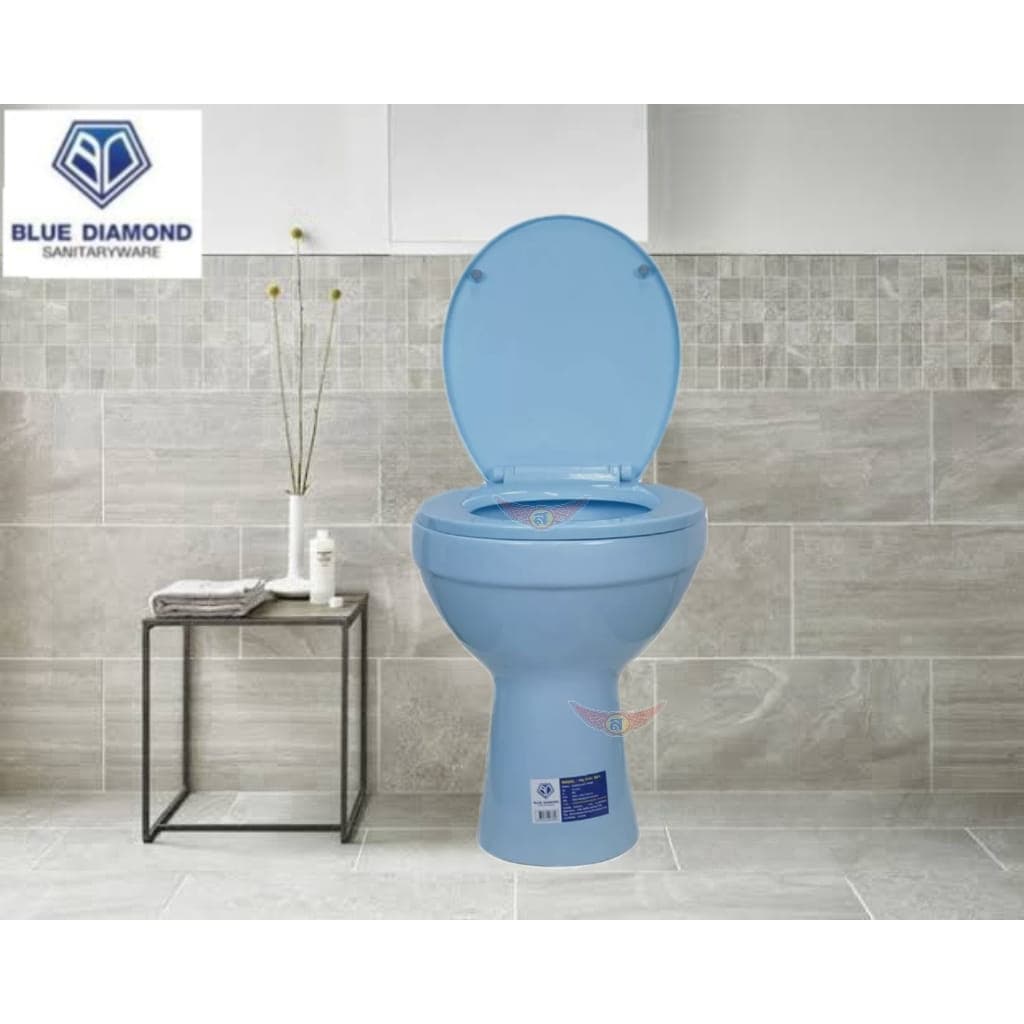Blue diamond โถส้วมนั่งราบ แบบราดน้ำ รุ่น FH 3140 สีขาว FT 3141 สีฟ้า ตีลังไม้ทุกชิ้น ทันที รูปที่ 3