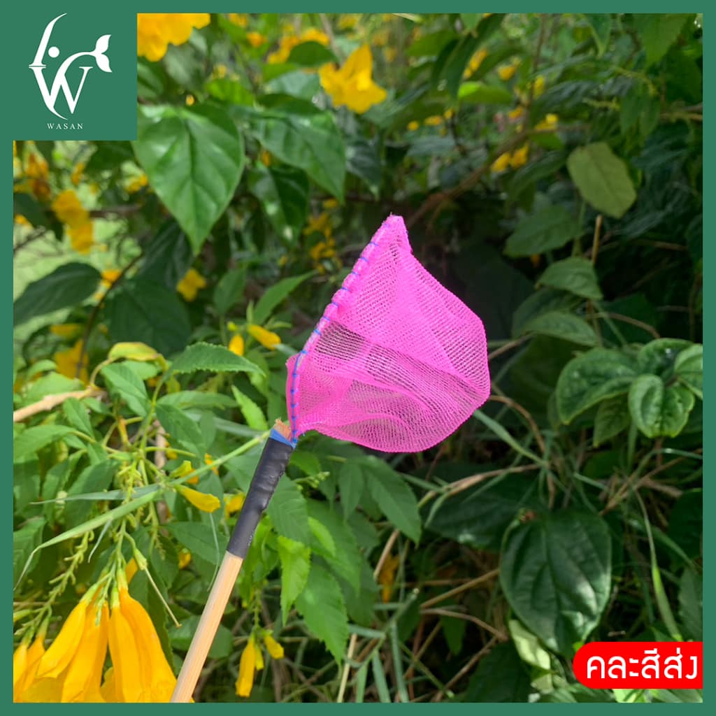 กระชอนตักปลา สี่เหลี่ยม หน้ากว้าง 5.5 CM BY ร้านวสันต์ อุปกรณ์ปลาสวยงาม รูปที่ 4
