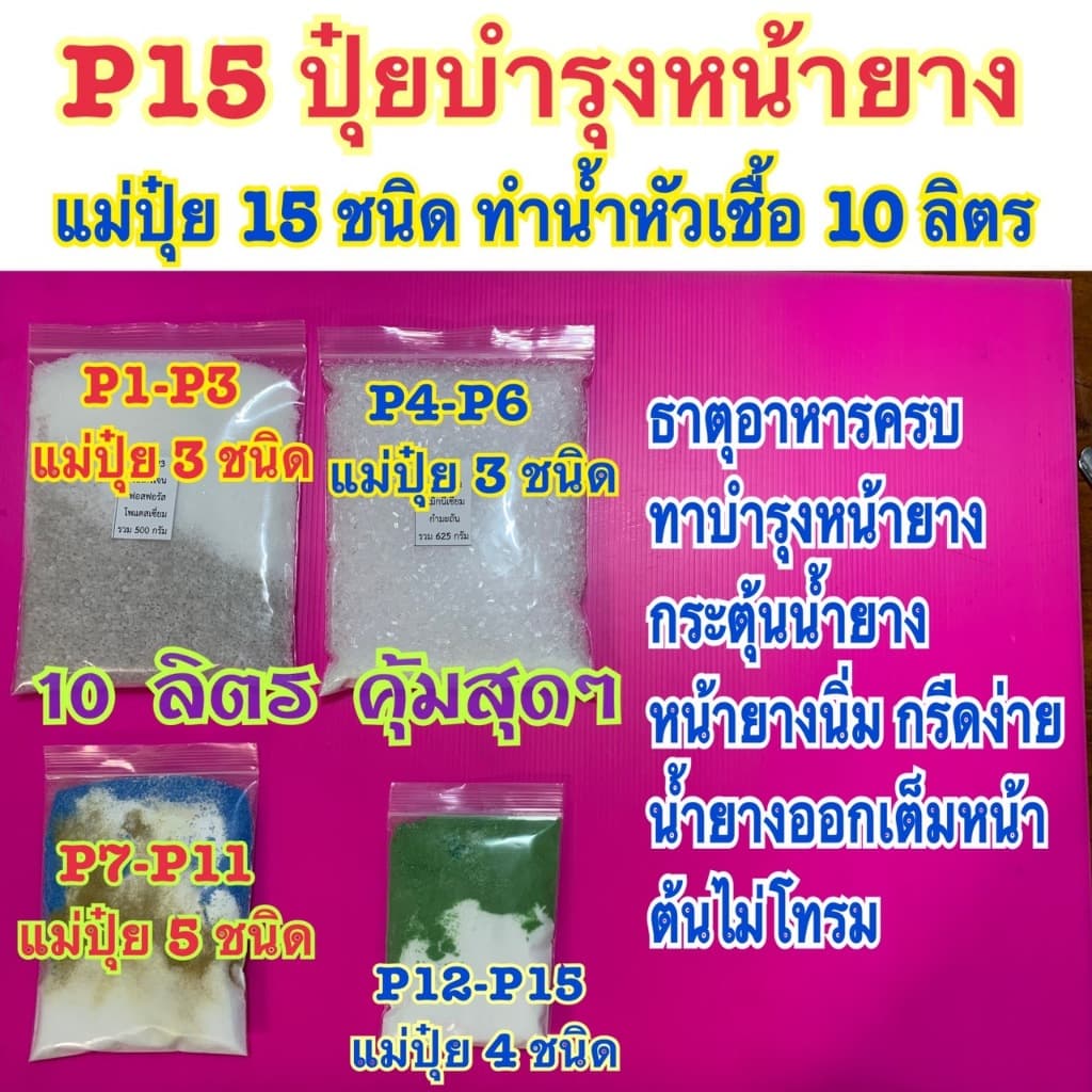 ปุ๋ยP15 ปุ๋ยบำรุงทาหน้ายาง ฉีดพ่นต้นเพิ่มน้ำยาง ปุ๋ยบำรุง อาหารเสริม สำหรับผสมทำน้ำปุ๋ย 10 ลิตร รูปที่ 1
