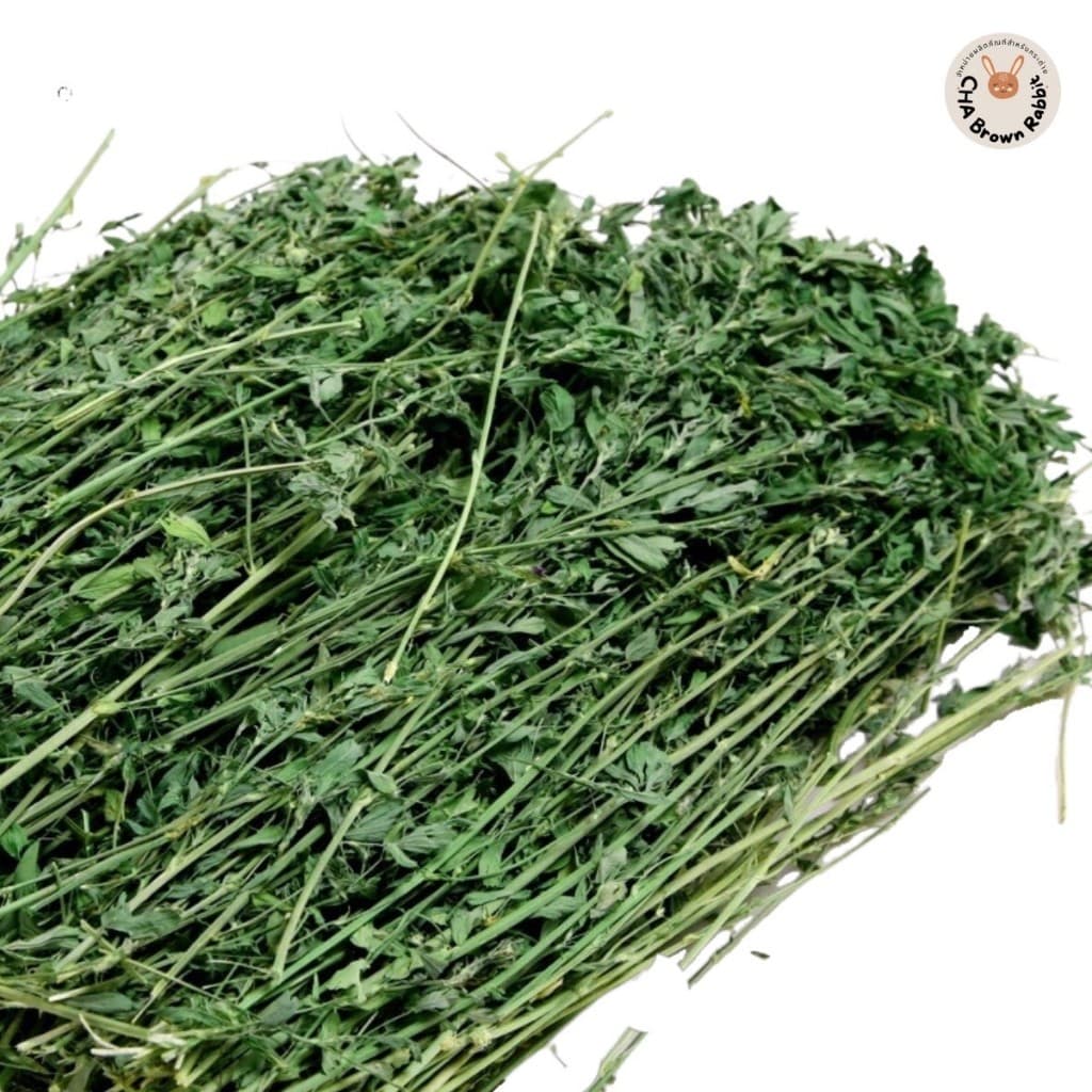 หญ้ากระต่าย หญ้าอัลฟาฟ่าอบลมร้อน Super Premium Alfalfa Grass ขนาด 1Kg. ใบล้วน รูปที่ 9