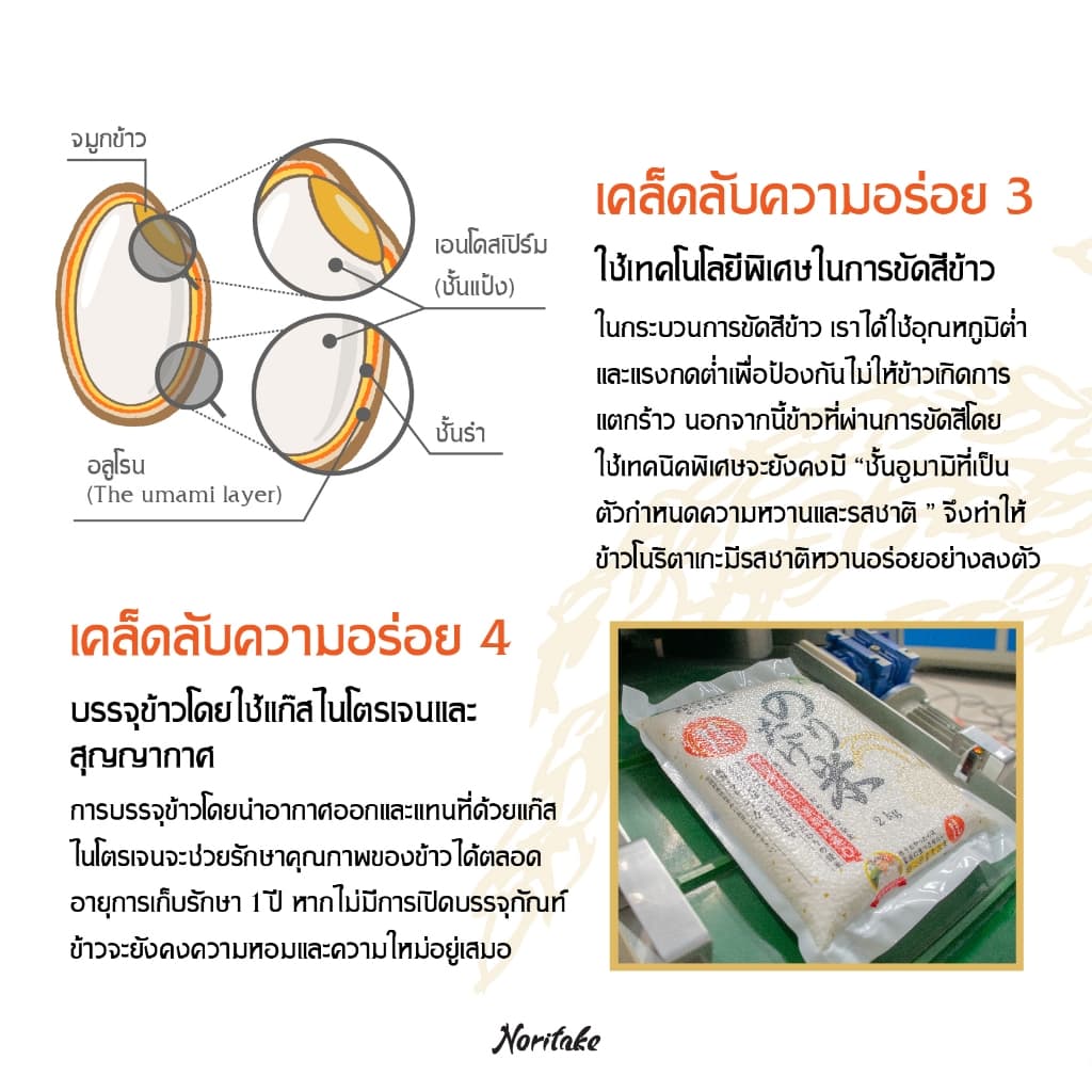 ข้าวญี่ปุ่นโคชิฮิคาริ 5 kg ตรา Noritake รูปที่ 7
