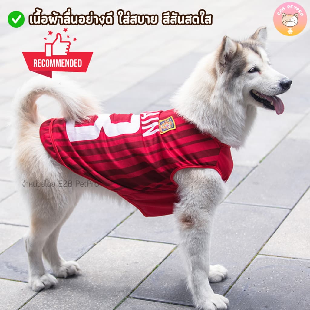 ใหม่ เสื้อสุนัข เสื้อสุนัขใหญ่ เสื้อบอลสีสันสดใสXL-6XLสวมใส่สบายระบายอากาศ H006 รูปที่ 2