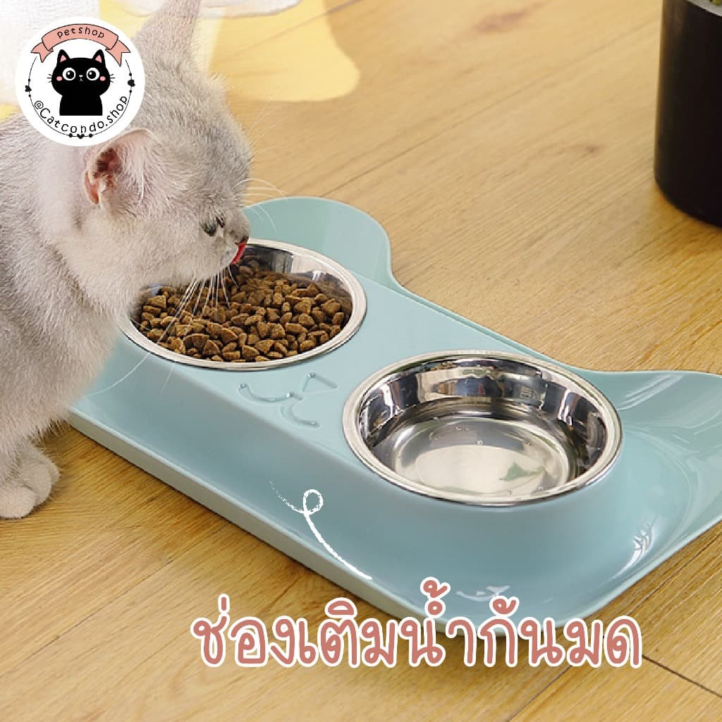 ‍⬛ชามหน้าแมว ชามกันมด 2หลุม ชามหน้าแมว ชามถอดแยกได้ ที่ให้อาหารที่ให้น้ำสัตว์เลี้ยงกันมด เอียง15องศา ขอบมีช่องใส่น้ำ‍⬛ รูปที่ 6