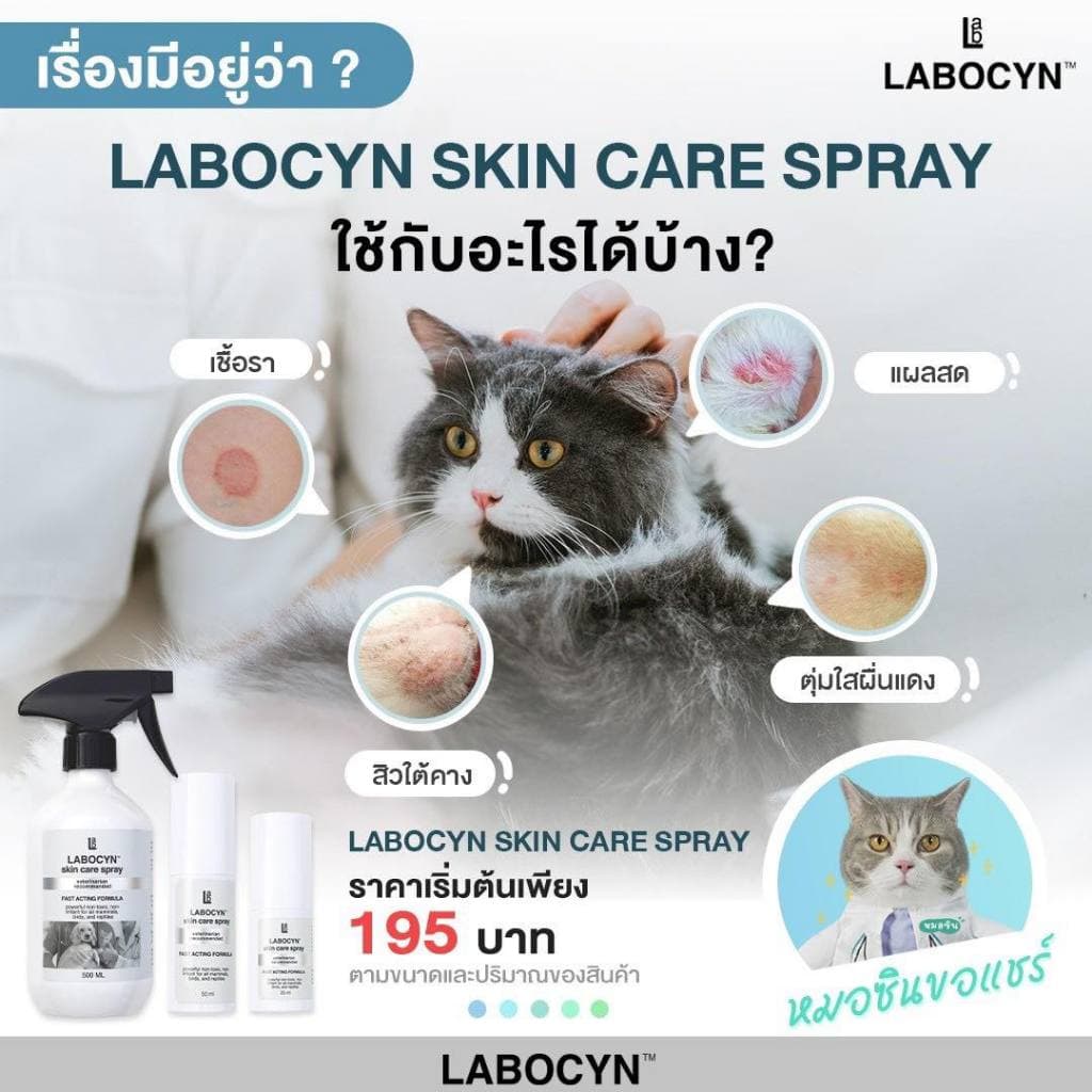 Labocyn Skin Care Spray สเปรย์ดูแลผิวหนังสุนัข แมว ผิวหนัง แผลสด เชื้อราแมว ยีสต์ แบคทีเรีย รูปที่ 6