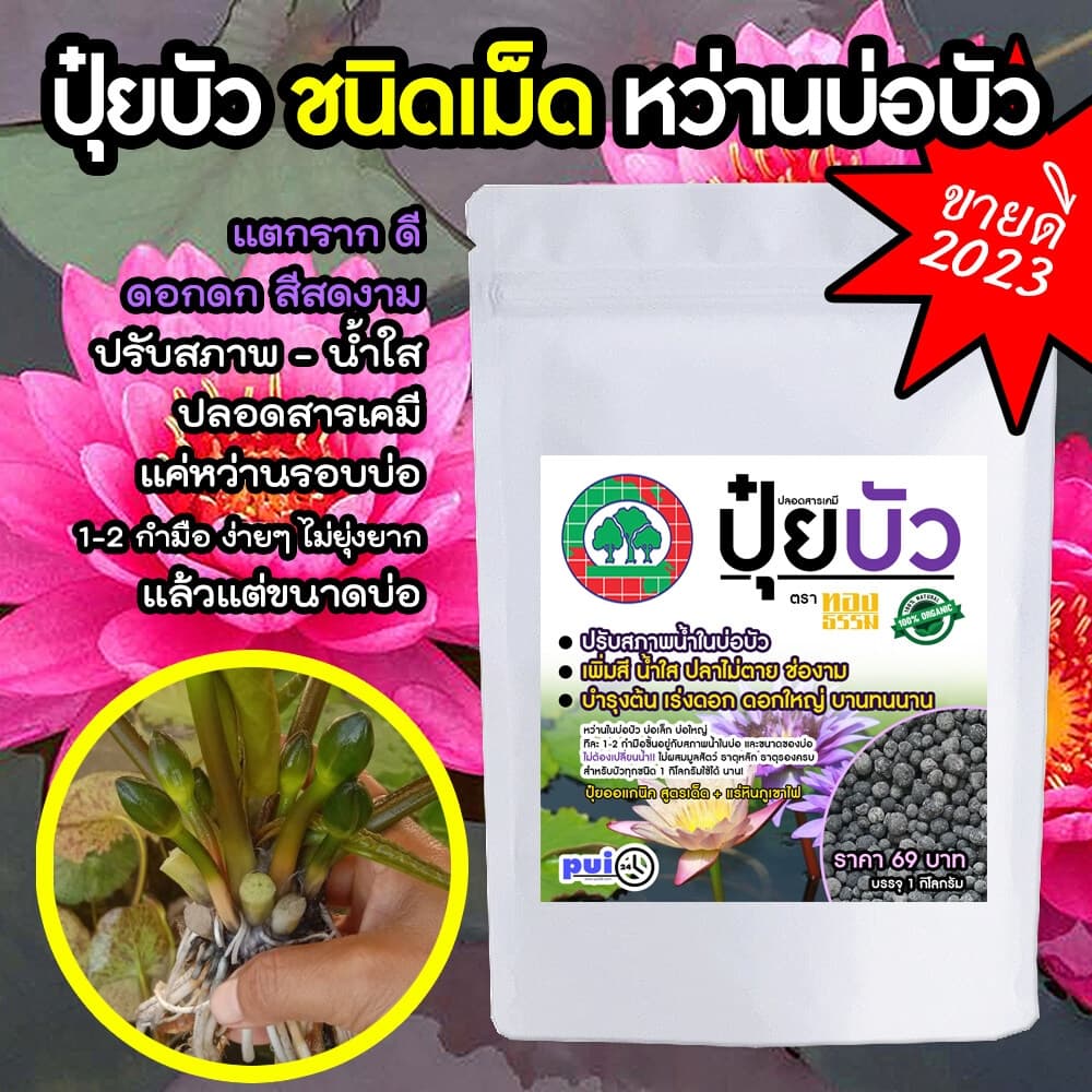 ปุ๋ยบัว ปุ๋ยออแกนิค ไร้กลิ่น สำหรับบัว สูตรเด็ด น้ำใส ปลาแข็งแรง แทบไม่ต้องล้างบ่อ ผสมแร่หินภูเขาไฟ ขนาด 1 กิโลกรัม รูปที่ 1