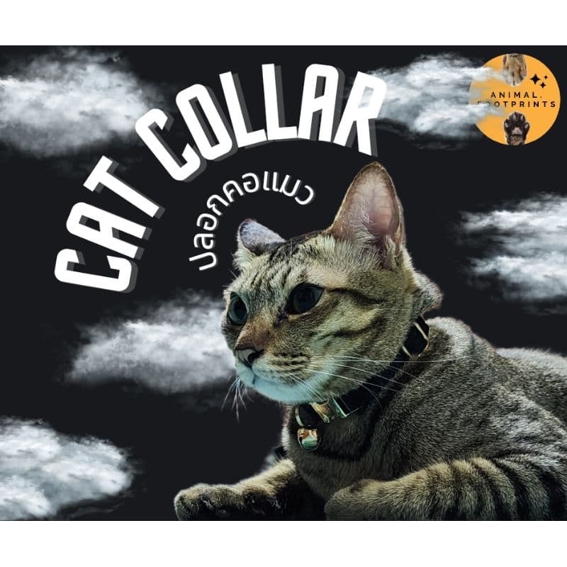 ปลอกคอแมว : ผ้ากำมะหยี่ Size S 22 สี Velvet cat collar รูปที่ 6