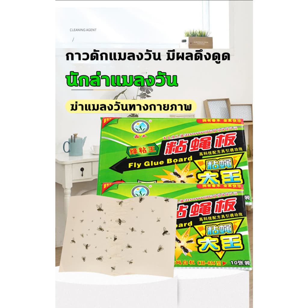 จับแมลงวัน1000ตัวได้ กาวดักแมลงวัน ที่ดักแมลงวัน แผ่นติดแมลงวัน กาวติดแมลงวัน แผ่นดักแมลงวัน ดักแมลงว รูปที่ 9