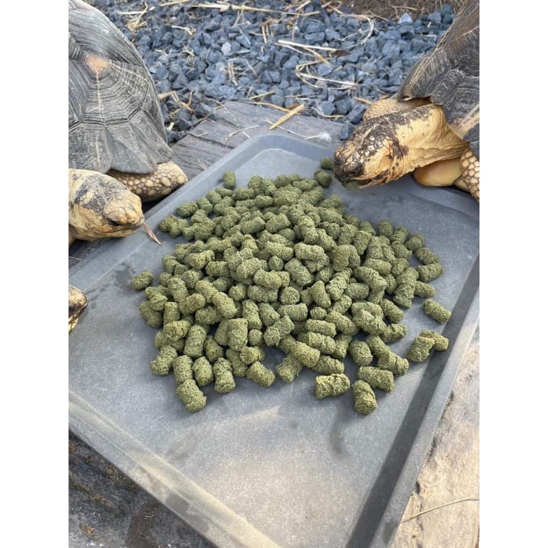 Happy tortoise อาหารเต่าบก สูตรเม็ดใหญ่ ถุงโรงงานสีส้ม/ถุงใส มีของแถมทุกออเดอร์ รูปที่ 5