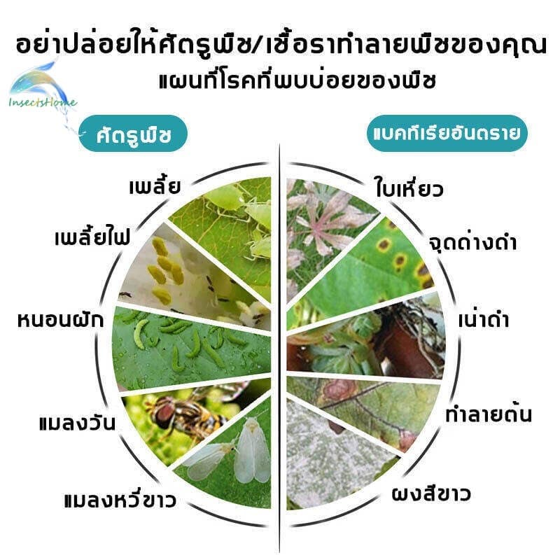 ยากำจัดแมลงพืช 500ml ยาฆ่าแมลง ยากำจัดหนอน สารกำจัดแมลง ยาฆ่าแมลงกินใบ ยากำจัดเพลี้ย ยาฆ่าเพลี้ย ​หนอน มด เกษตร สว รูปที่ 4