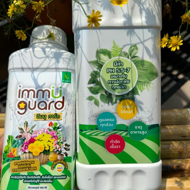 immu guard วัคซีนพืช ป้องกันเชื้อรา แบคทีเรีย และ เพลี้ย ออแกนิค100% รูปที่ 5