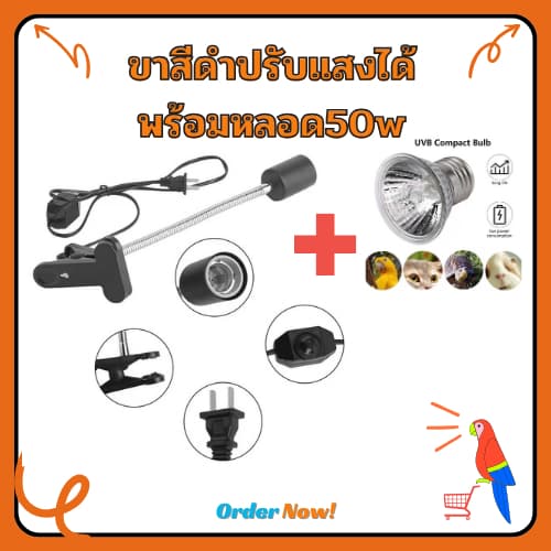 ไฟกกสัตว์เสี้ยง ขั้วหลอดไฟเซรามิค+หลอดไฟ50W​ ทนความร้อนโคมไฟ สำหรับเต่าน้ำเต่าบก​ลูกนก สวิตช์ปรับแสงได้ตามใจชอบ รูปที่ 1