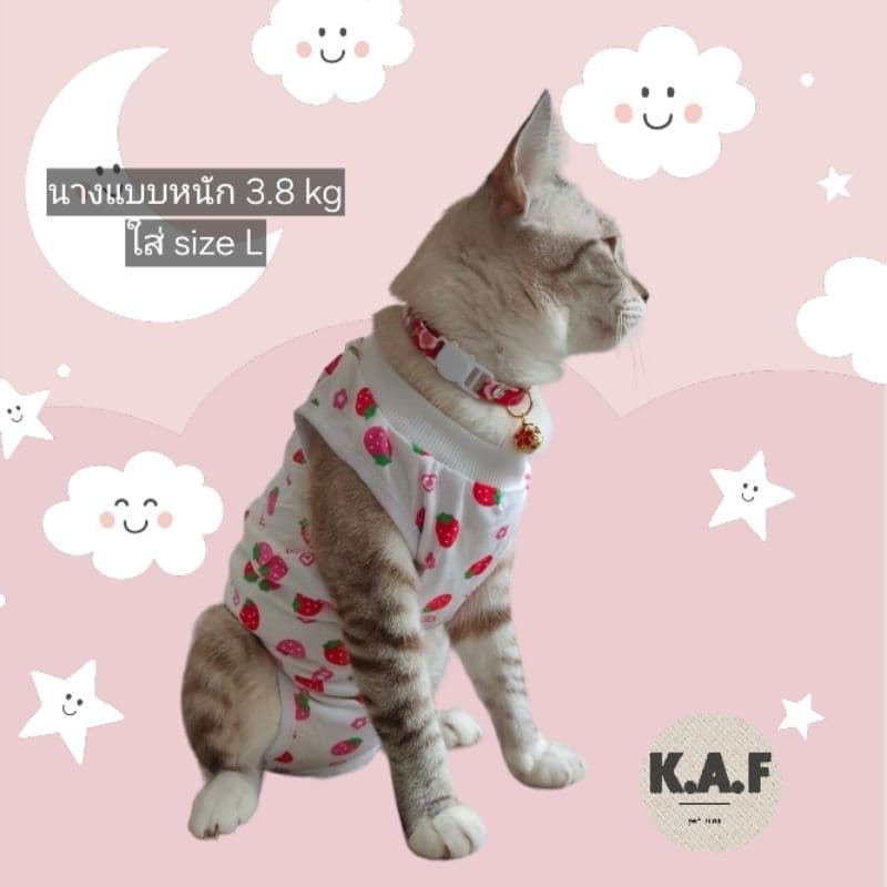 เสื้อทำหมันสัตว์เลี้ยง เสื้อแต่ละลายขนาดไม่เท่ากัน อ่านsizeก่อนสั่ง! รูปที่ 9