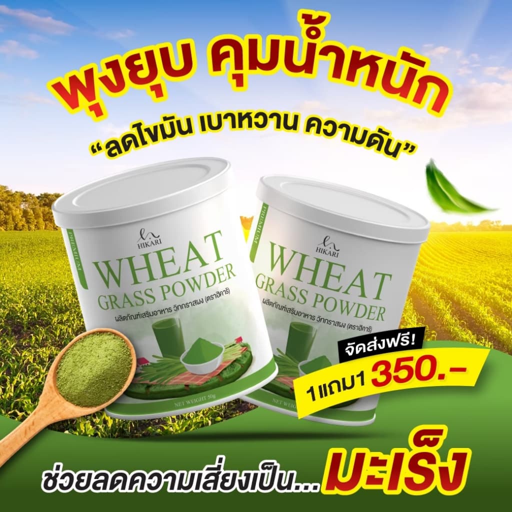 Wheat Grass วีทกราส ผงข้าวสาลีอ่อน เสริมใยอาหาร ดูแลลำไส้ รูปที่ 7