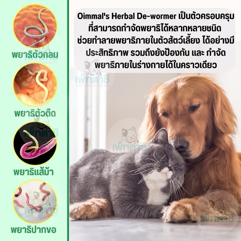 Oimmal De-wormer กำจัดพยาธิ พยาธิตัวกลม พยาธิตัวตืด พยาธิแส้ม้า พยาธิปากขอ ถ่ายพยาธิ เห็นผลใน 30 วัน รูปที่ 2