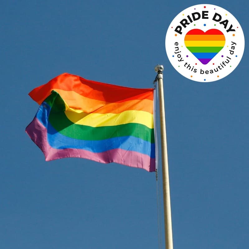 Dreamer ธง หลากหลายทางเพศ LGBT ขนาด lgbt flag ธงสีรุ้ง รูปที่ 9