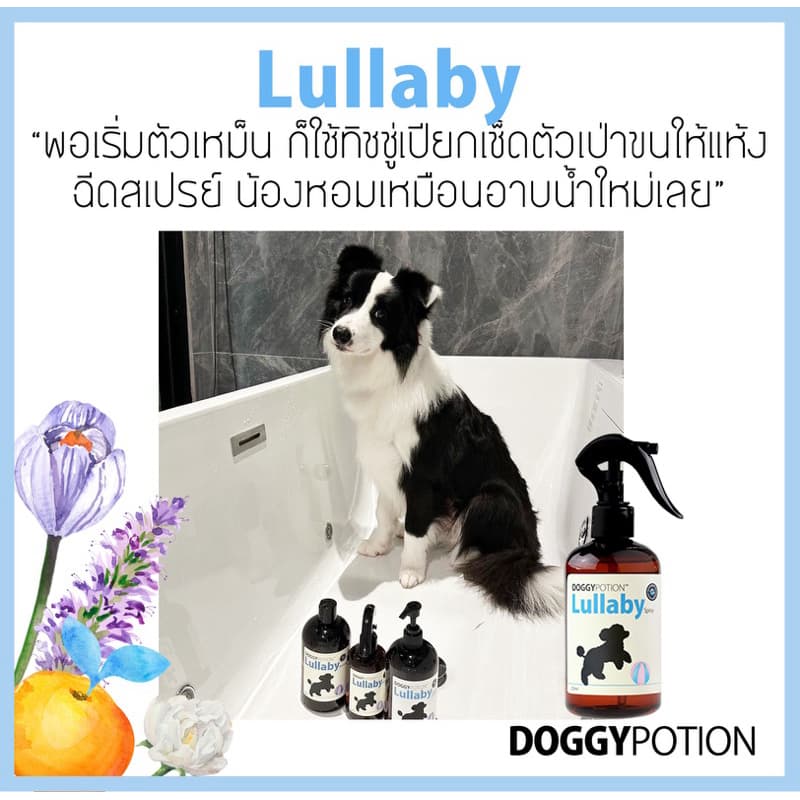 Doggy Potion Lullaby Conditioning Spray 250ml สเปรย์บำรุงขน สูตรลาลาบาย รูปที่ 6