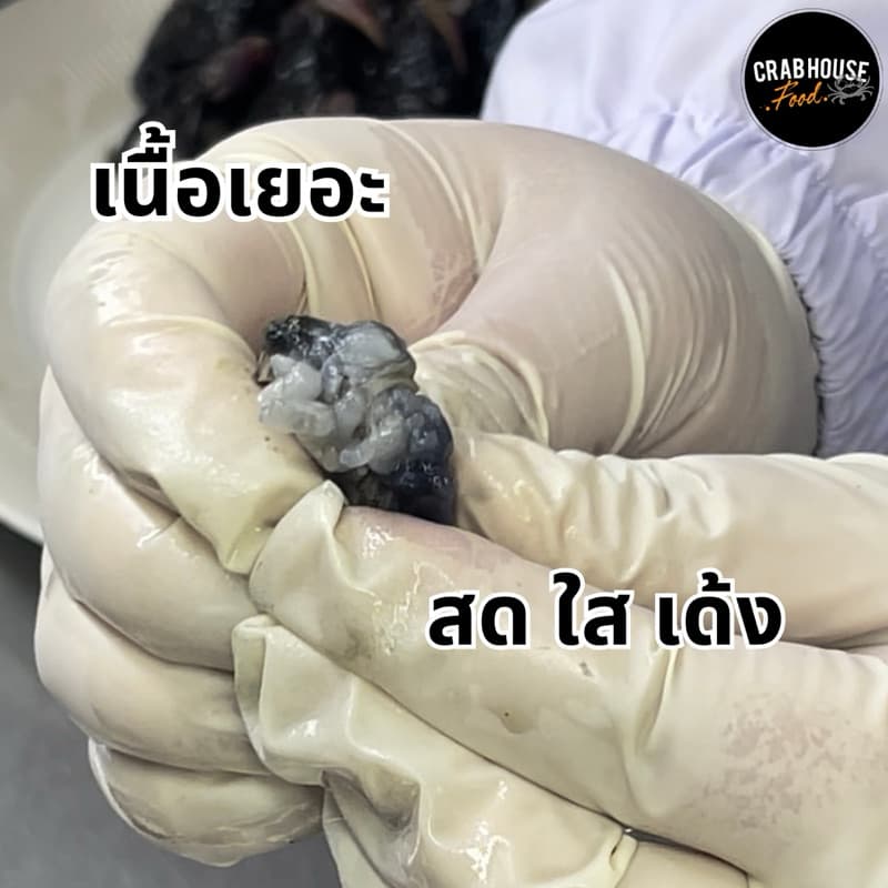 Crabhousefood-ปูแสมดองน้ำปลากวนเกรด B+ เนื้อแน่น สด แต่ไม่ได้คัดมันปู ขนาด 1 KG. รูปที่ 6